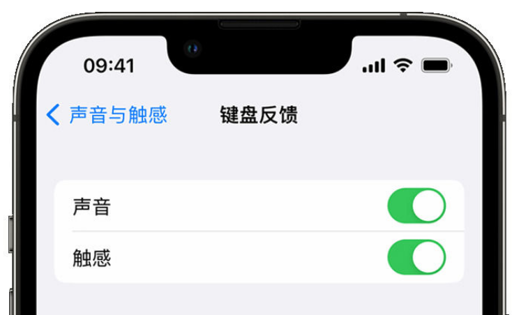 商州苹果手机维修分享iPhone 14触感键盘使用方法 