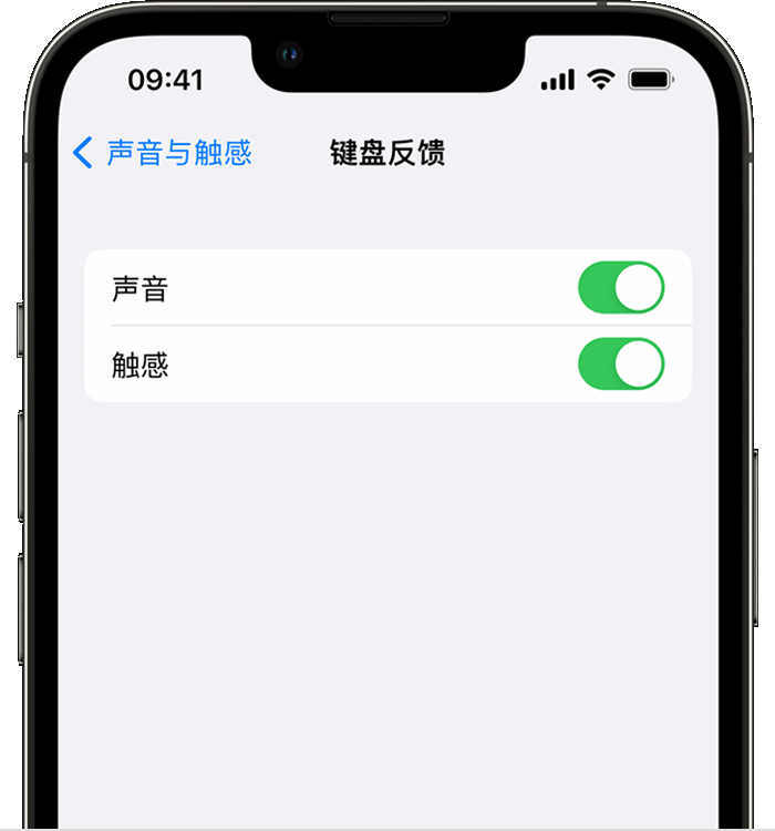 商州苹果14维修店分享如何在 iPhone 14 机型中使用触感键盘 