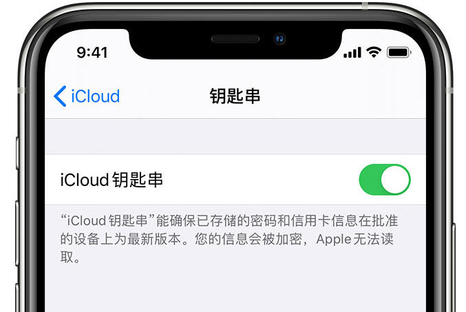 商州苹果手机维修分享在 iPhone 上开启 iCloud 钥匙串之后会储存哪些信息 