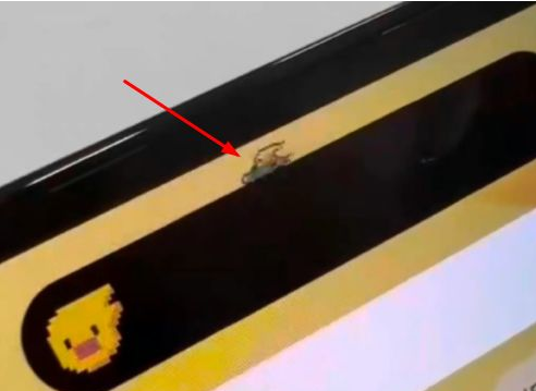 商州苹果14维修分享iPhone 14 Pro Max灵动岛怎么养宠物 