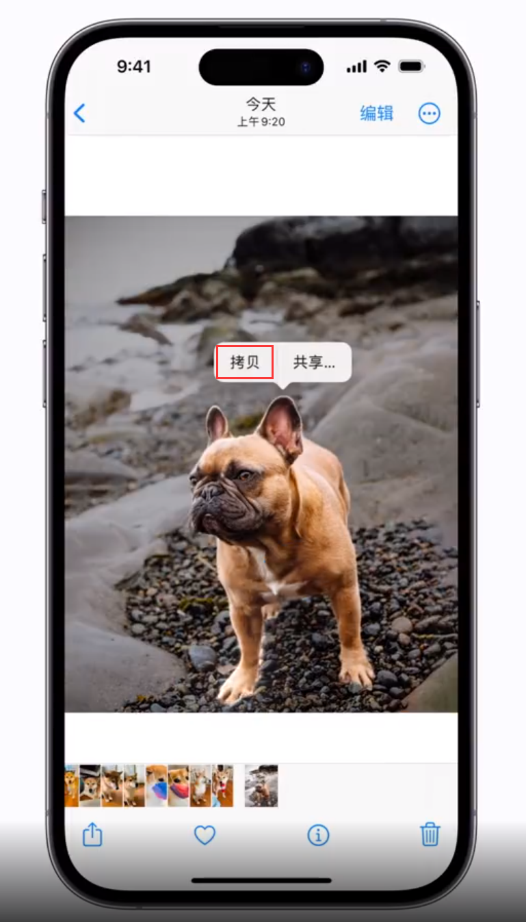 商州苹果手机维修分享 iOS 16 自带一键抠图功能 
