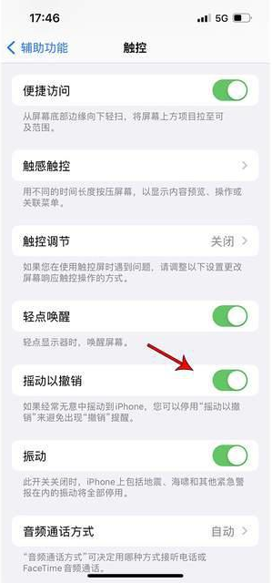 商州苹果手机维修分享iPhone手机如何设置摇一摇删除文字 